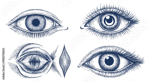 Hand-drawn, indigo toned, illustration of four eyes in various styles and orientations