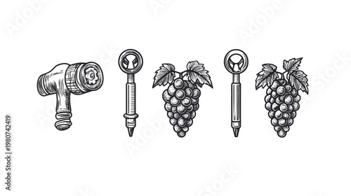 Hand-drawn illustration with a medical instrument, grapes, and another medical tool