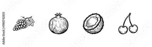 Fresh Tropical Fruits and Garden Berries with Hand-Drawn Inky Brushwork and Detailed Painterly Textures for Commercial Food Design.