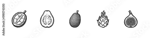 Tropical and Exotic Fruits Collection with Hand-Drawn Inky Brushwork and Organic Textures in a Vintage Sketch Style