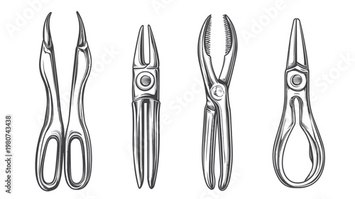 A hand-drawn collection of four surgical tools forceps, pliers, and a clamp, all on a white background