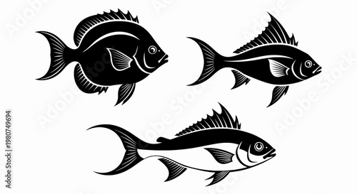 Three Silhouetted Fish Species Against White Background, Seafood Design Elements