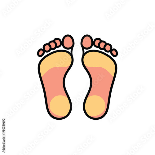 Vector of two feet with highlighted soles and toes