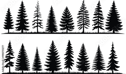 Collection of black pine tree silhouettes with grass detail on white background Keywords: pine tree, fir tree, conifer