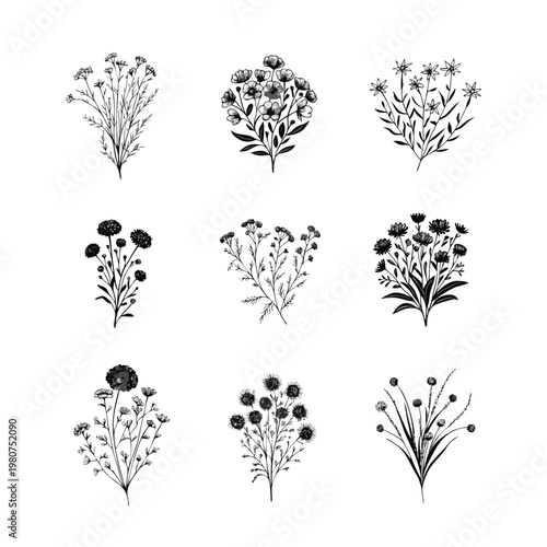 A collection of black and white floral illustrations on a clean white background