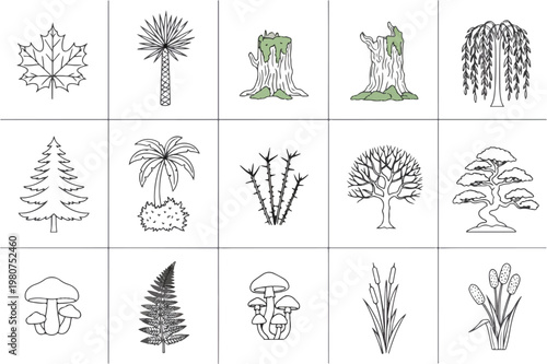 Collection of Diverse Botanical Illustrations and Nature Elements.