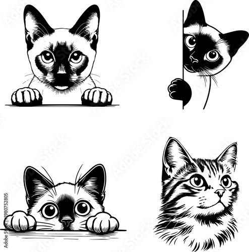 Cute Peeking Siamese Cat and Tabby Head Vector Set