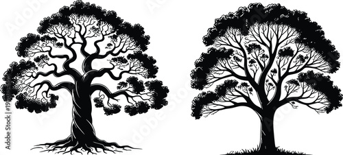 Silhouettes of two ornate trees with dense foliage on white background branches