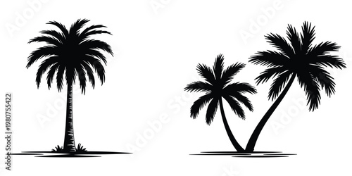 Two silhouettes of palm trees on white background Keywords: palm trees, silhouette, tropical, beach, island, vacation, summer
