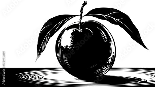 Graphic monochrome art of a plum with leaves sitting on ripples