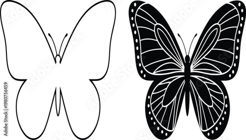 Black and white butterfly illustration detailed wing patterns