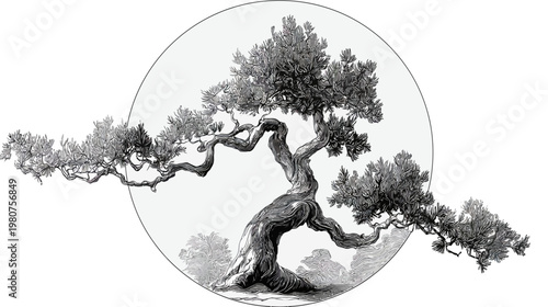 Grayscale ink drawing of a gnarled, twisting pine tree inside a clean round white frame