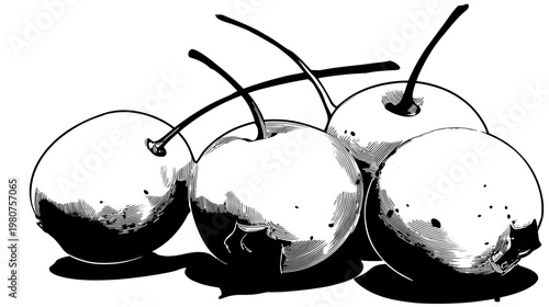 Line art of five cherries with stems and visible pits on a white background