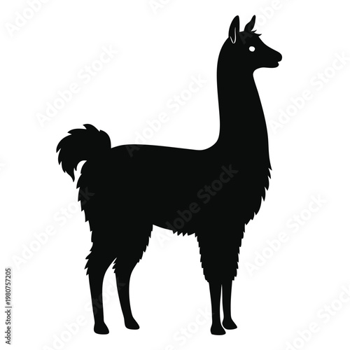 Black silhouette of a llama standing proudly on a white background illustration