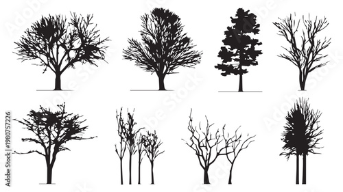 Silhouette Trees Collection: A collection of various trees silhouetted against a plain backdrop, capturing the intricate beauty of their branches.