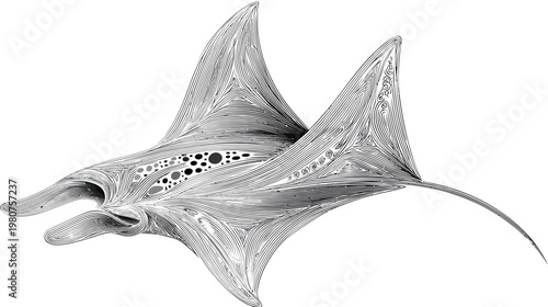 Stylized line art illustration of two manta rays swimming on a white background