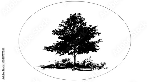 A stark black silhouette of a full tree inside a clean circular border on white