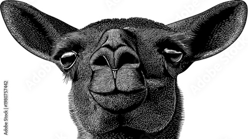 High-contrast illustration of a llama's face, viewed from the front, in black and white