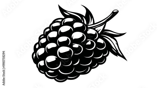 Black and white drawing of a blackberry, with leaves, on a white background