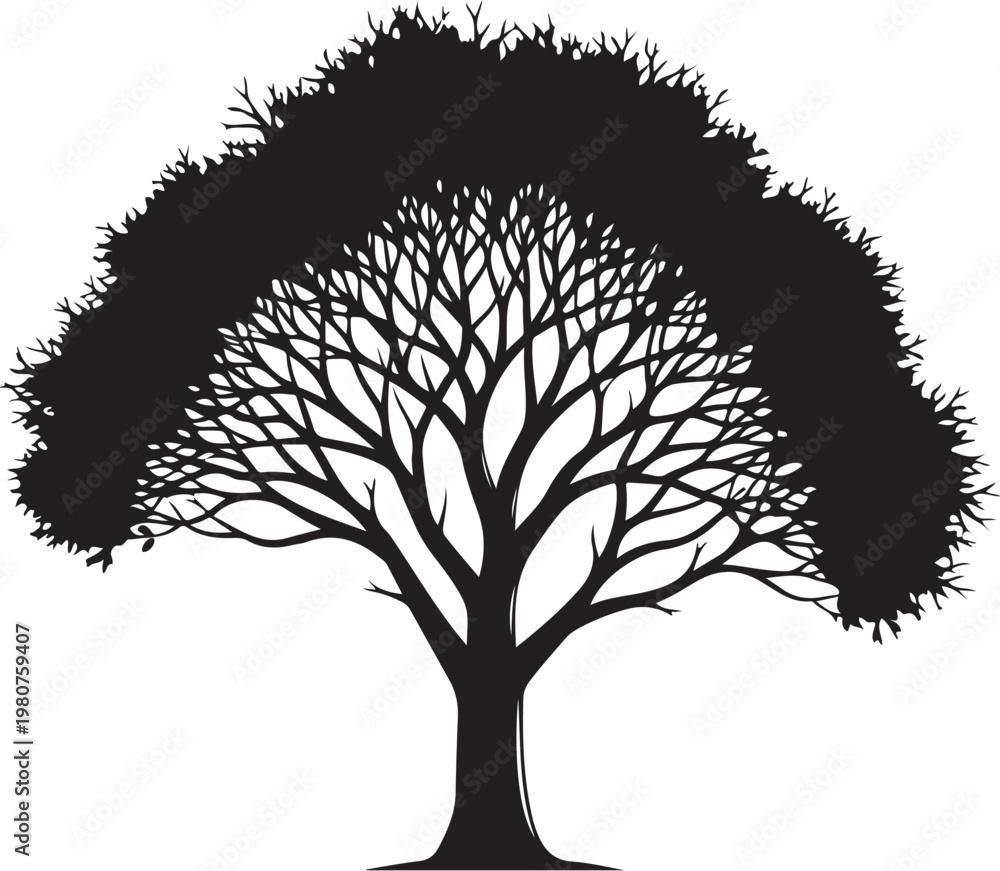 Obraz premium Black silhouette of a tree with a thick trunk and sprawling branches