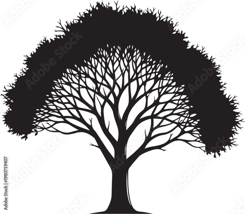 Black silhouette of a tree with a thick trunk and sprawling branches