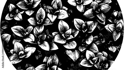 Graphic, black and white, oval image showing stylized flowers with pointed petals
