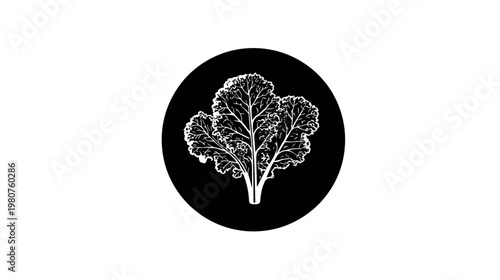 Stylized kale plant illustration in a circular black frame on white background