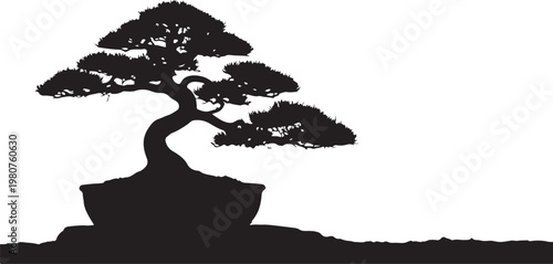 Black silhouette of bonsai tree on white background