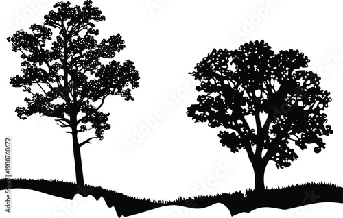 Black and white of two trees on a hillside