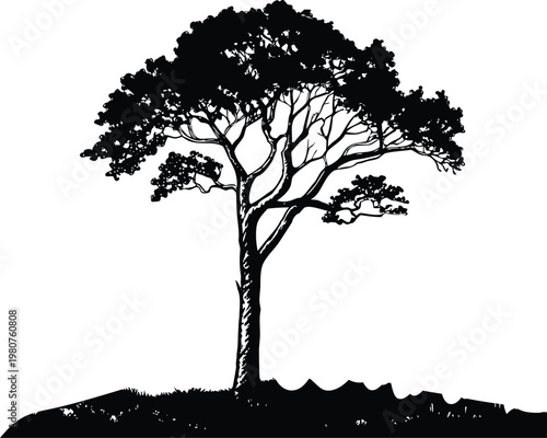 Black and white tree silhouette against mountain backdrop