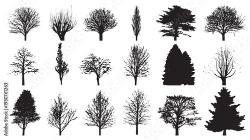 Collection of Tree Silhouettes: A diverse array of intricate tree silhouettes, capturing the essence of various arboreal forms, perfect for design and thematic representation.