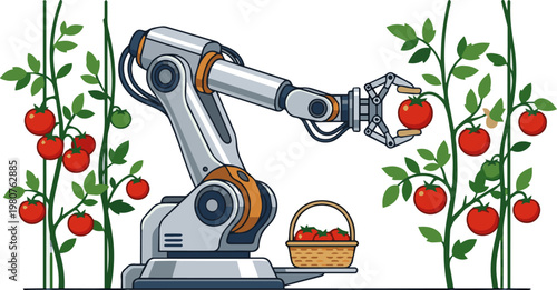Robotic arm harvesting ripe tomatoes, illustrating automated agriculture and smart farming technology for efficient food production.