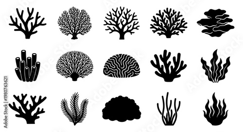 Black coral reef silhouettes, 15 underwater sea plant icons, minimalist ocean life vector illustrations, aquatic nature elements for marine design