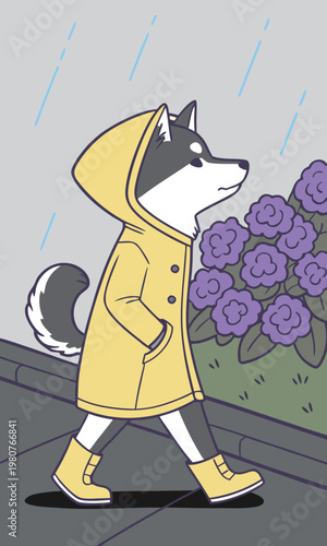 レインコートを着て雨の中を散歩する二足歩行のハスキー犬、紫陽花と梅雨の風景のキャラクターイラスト