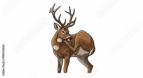 A brown deer with antlers scratches its neck with its hind leg