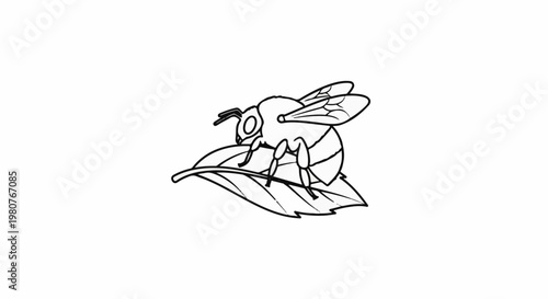 A black and white line drawing of a bee resting on a leaf