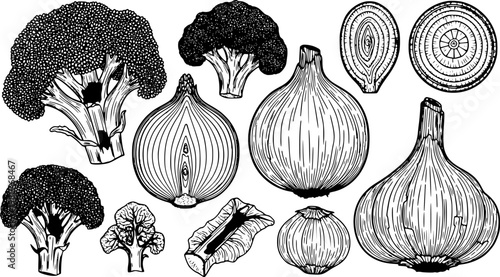 This detailed black and white vector illustration features a collection of hand drawn broccoli, fresh onions and aromatic garlic bulbs for culinary design projects.