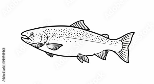 A black and white line drawing of a spotted salmon, depicted swimming