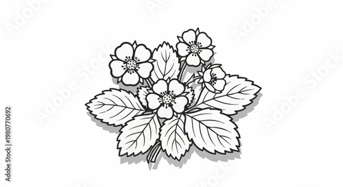 A black and white line drawing of strawberry flowers and leaves