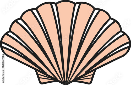 Oceanic Shell Detailed Structure Study. Seashell Underwater Marine Form Study. Coastal Ocean Shell Natural Study. Realistic Marine Seashell Formation Study. Realistic Seashell Ocean Study. 