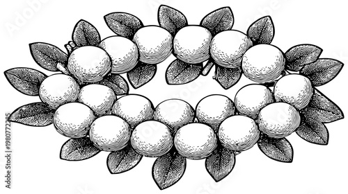 Intricate black and white illustration of a circular arrangement of stylized fruit and leaves