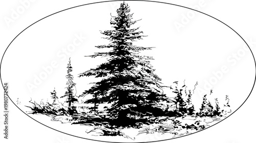 A detailed, black and white circular illustration showcasing a tall evergreen tree and undergrowth