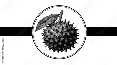 Artistic black and white illustration of a durian fruit with a leaf in a circular frame