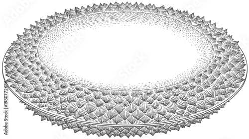 A detailed black and white illustration of an oval, spiky patterned, textured shape