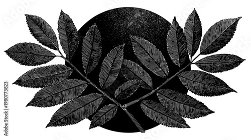 Stylized, grayscale illustration of overlapping leaves arranged around an irregular dark circle
