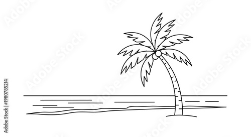 A single palm tree standing alone.