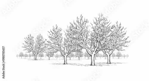 A detailed sketch of several deciduous trees with abundant foliage on a plain