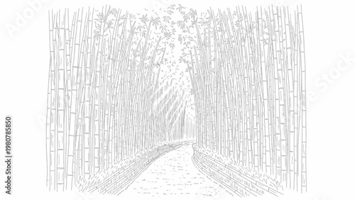 Hand Drawn Bamboo Forest Path Illustration