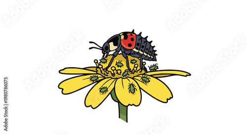 A larval ladybug devours aphids on a bright yellow flower