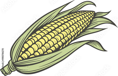 Single Yellow Corn Rural Food Item. American Farm Fresh Corn Crop. Natural Maize Cob Agricultural Produce. Fresh Corn Cob Farm Harvest Element. Fresh Corn American Farm Produce. Golden Corn Natural